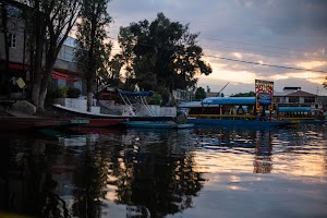 _DSF8699.jpg