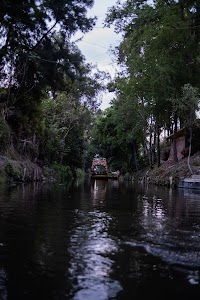 _DSF8800.jpg