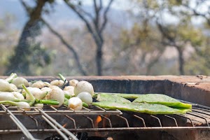 IMG_4708(1).jpg