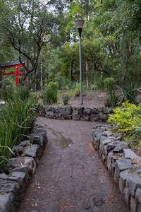 _DSF0658.jpg