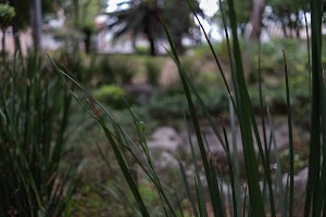 _DSF0661.jpg