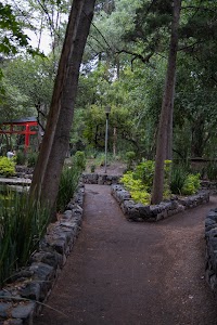 _DSF0662.jpg