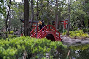 _DSF0667.jpg