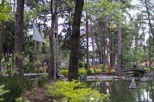_DSF0685.jpg