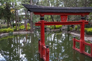 _DSF0710.jpg