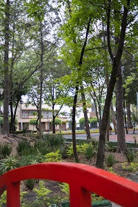 _DSF0729.jpg