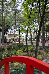_DSF0731.jpg