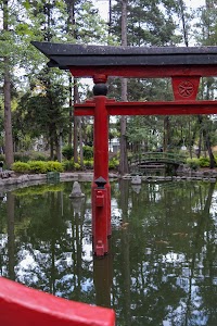 _DSF0762.jpg