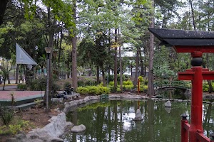 _DSF0773.jpg