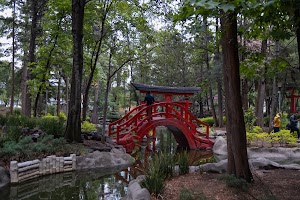 _DSF0777.jpg