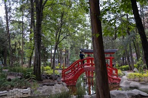 _DSF0779.jpg