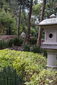 _DSF0837.jpg