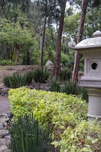 _DSF0838.jpg