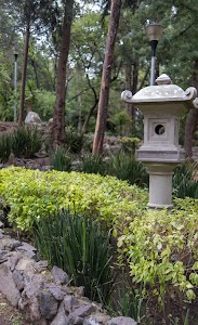 _DSF0839.jpg
