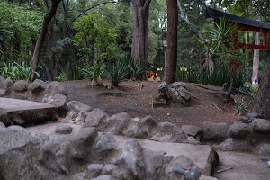 _DSF0847.jpg