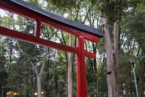 _DSF0848.jpg