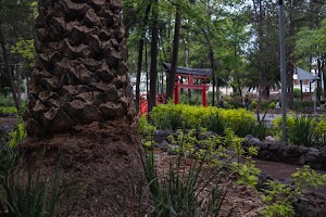 _DSF0904.jpg