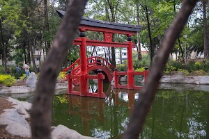 _DSF0912.jpg
