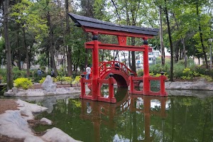 _DSF0914.jpg