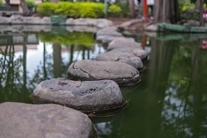 _DSF0918.jpg