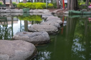 _DSF0923.jpg