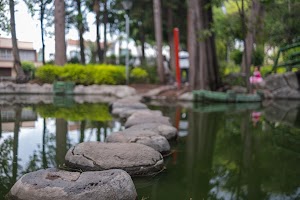 _DSF0930.jpg