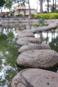 _DSF0973.jpg