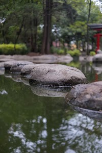_DSF1059.jpg