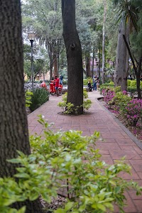 _DSF1163.jpg