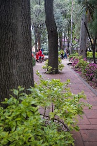 _DSF1164.jpg