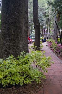 _DSF1165.jpg