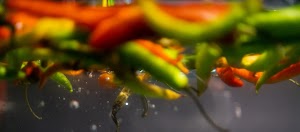 _DSF0429.jpg