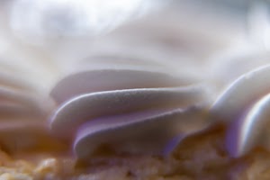 _DSF1226.jpg