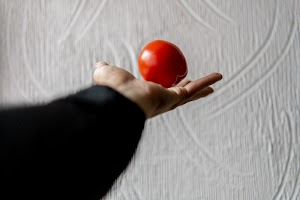 _DSF1790.jpg
