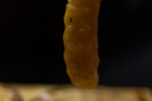 _DSF2834.jpg