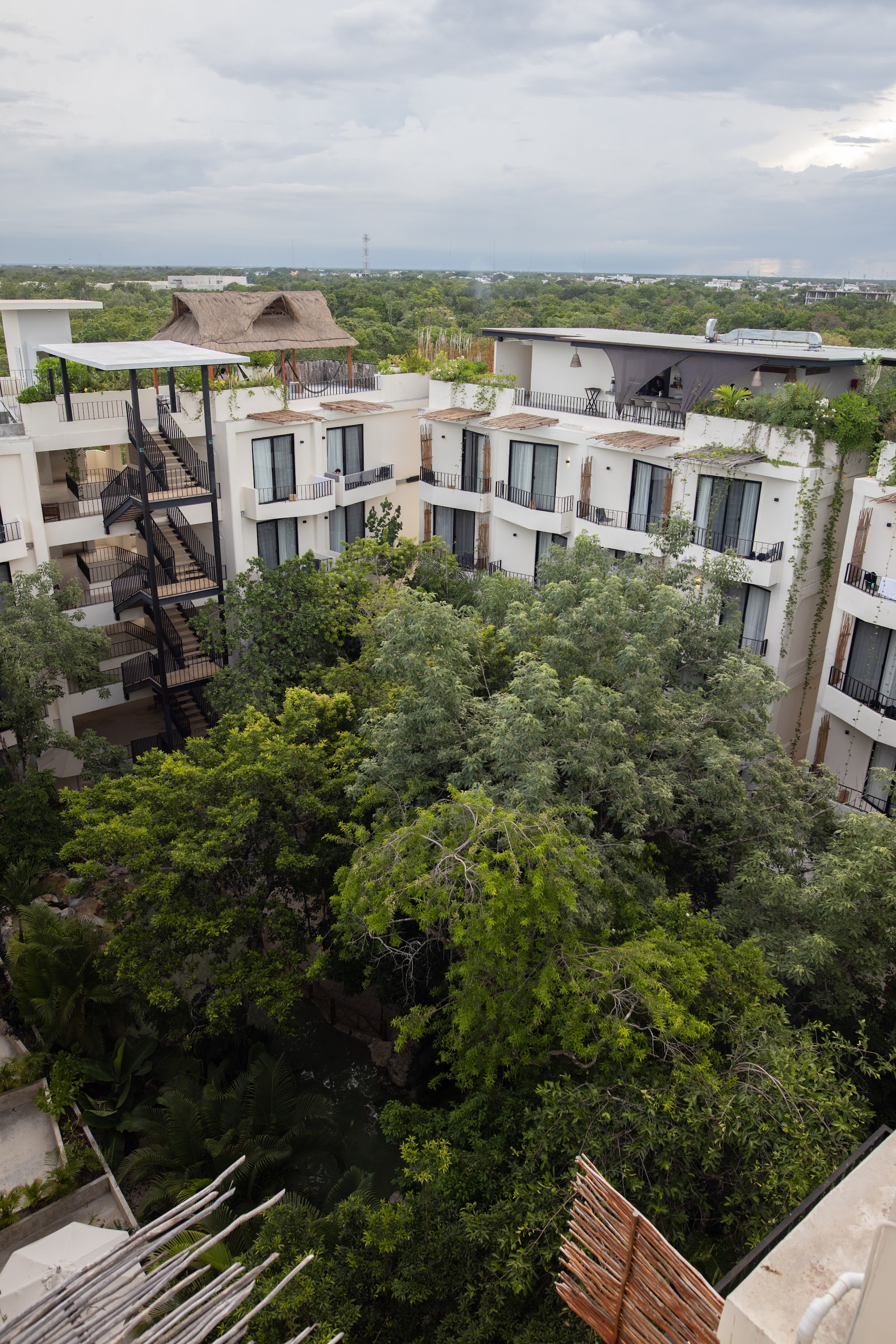 Modern Resort Complex Surrounded by Lush Greenery