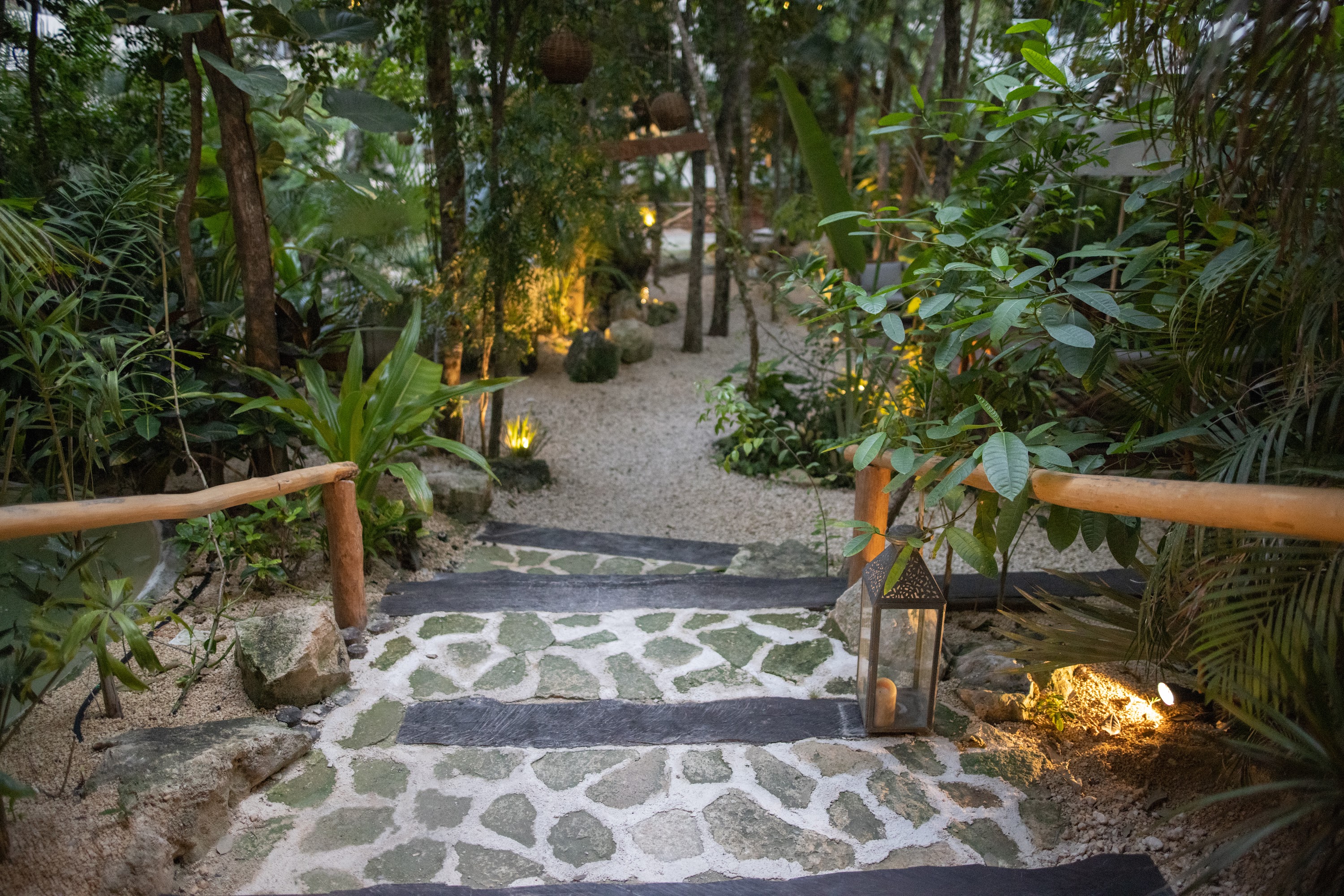 Stone Pathway Through Lush Tropical Garden at Dusk