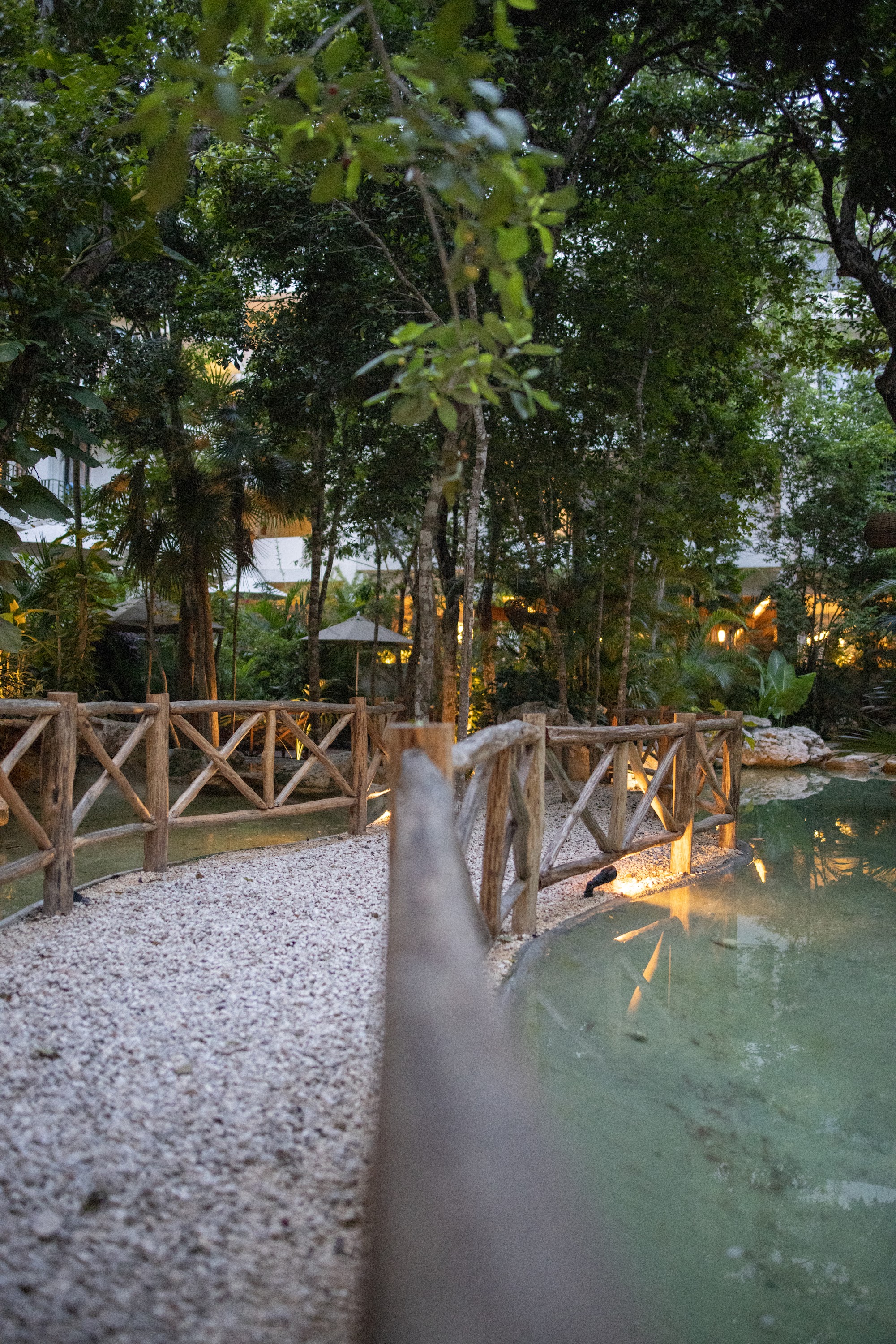 Wooden Bridge Over Pond in Lush Garden