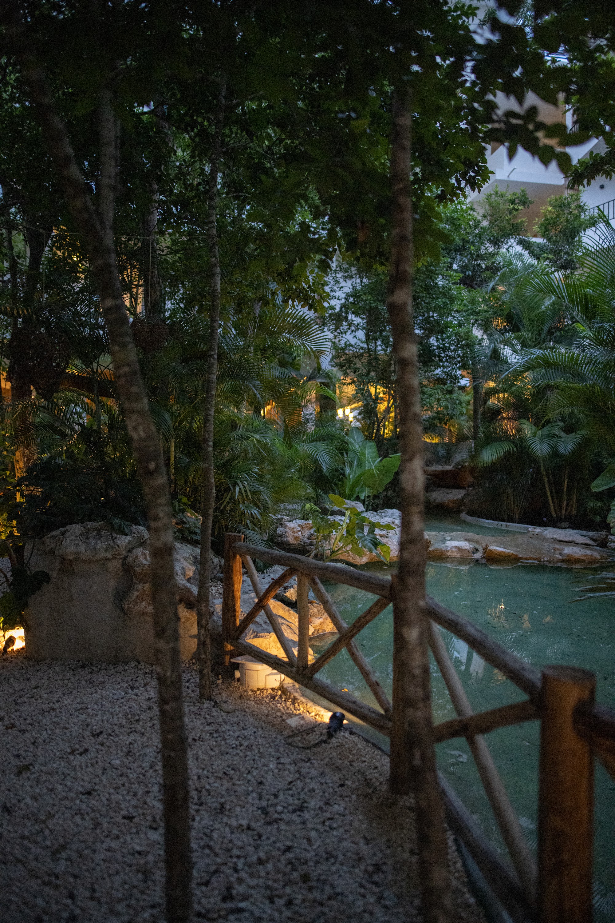 Lush Tropical Garden at Dusk with Illuminated Pond and Wooden Bridge