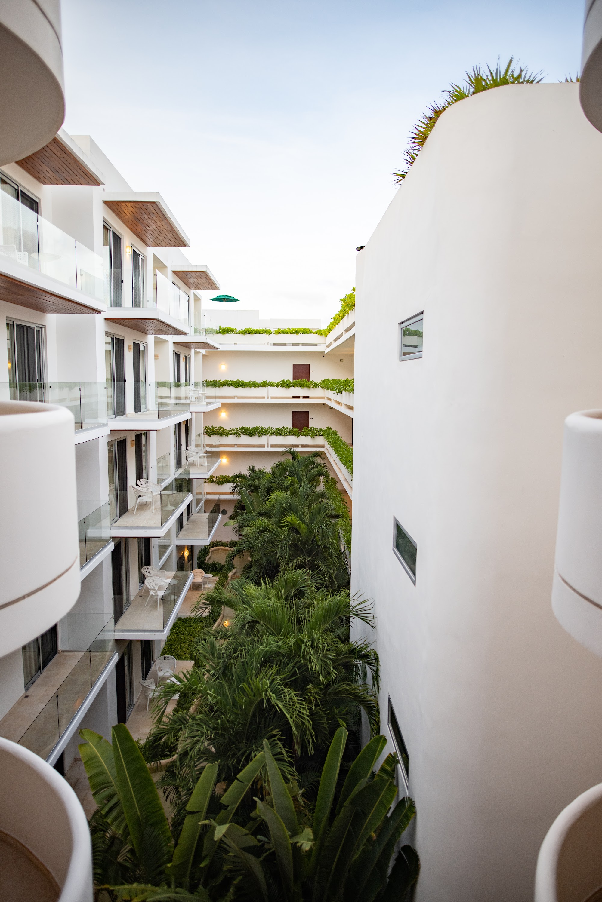 Modern White Hotel Courtyard with Lush Tropical Greenery