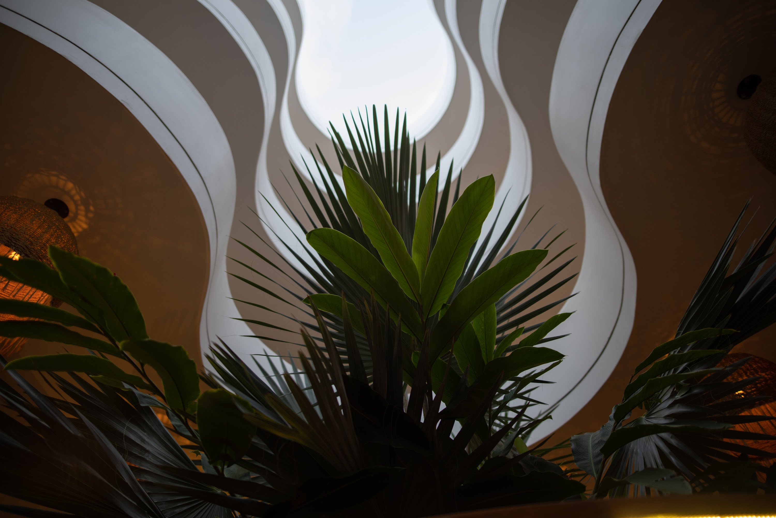 Wavy Ceiling and Tropical Plants