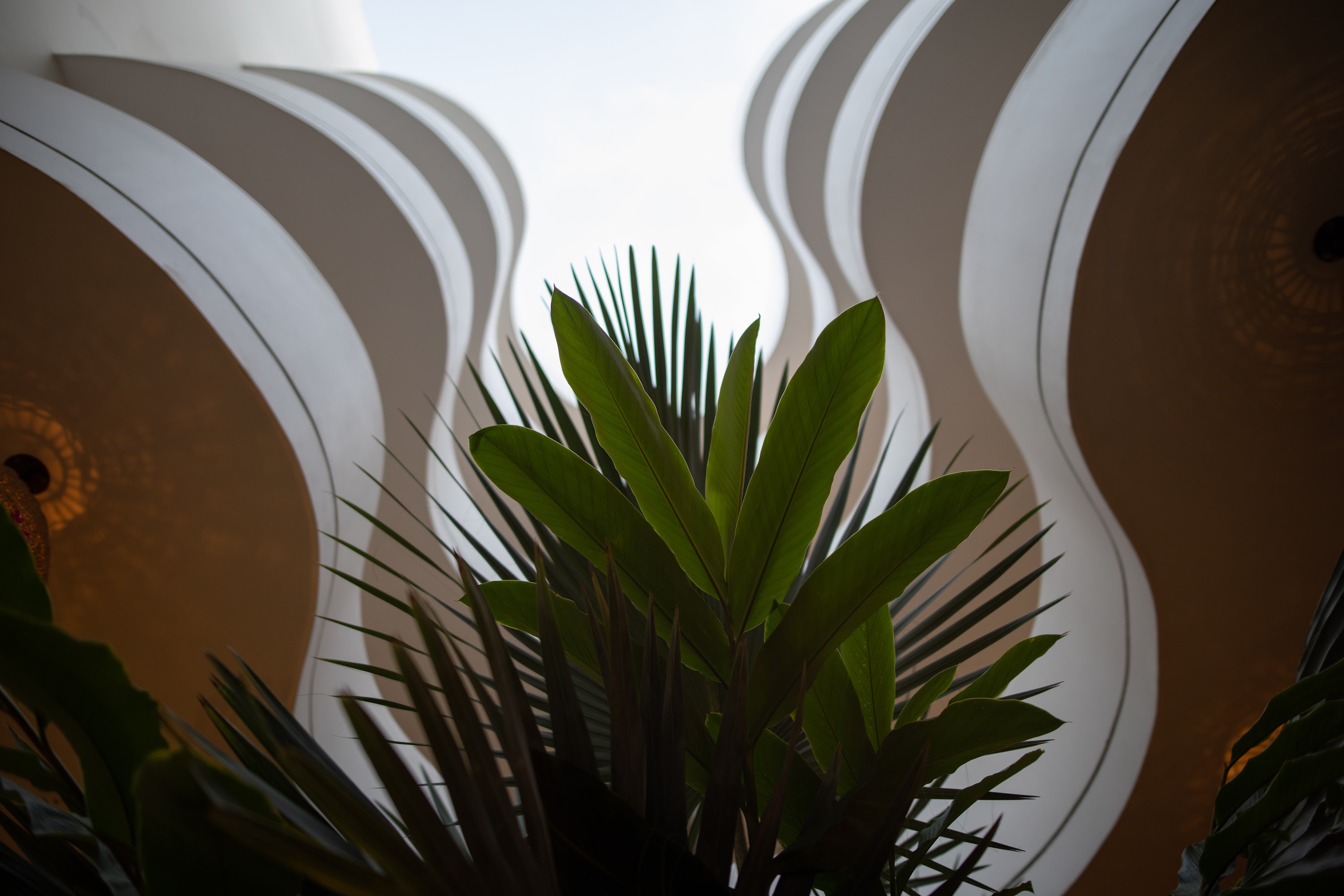 Wavy Architectural Ceiling with Tropical Plants