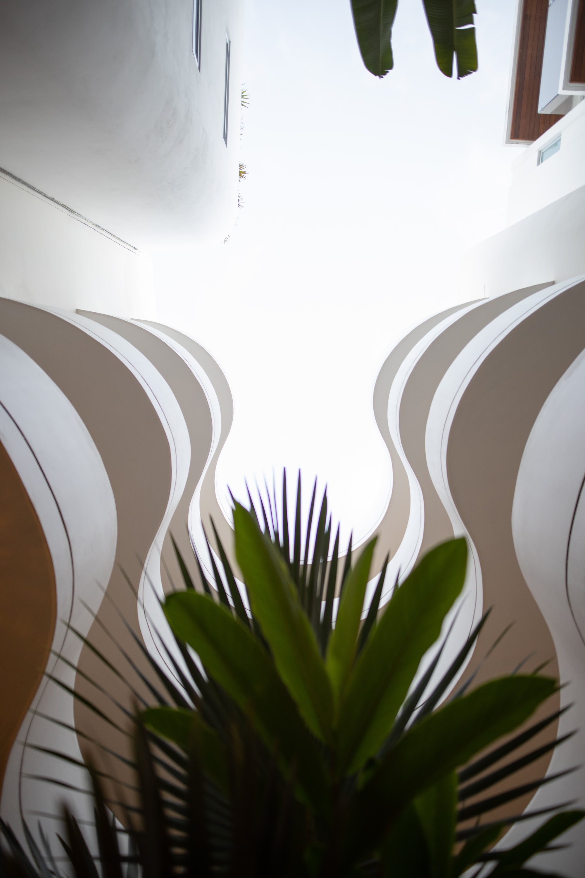 Wavy Architectural Wall Design with Tropical Plants