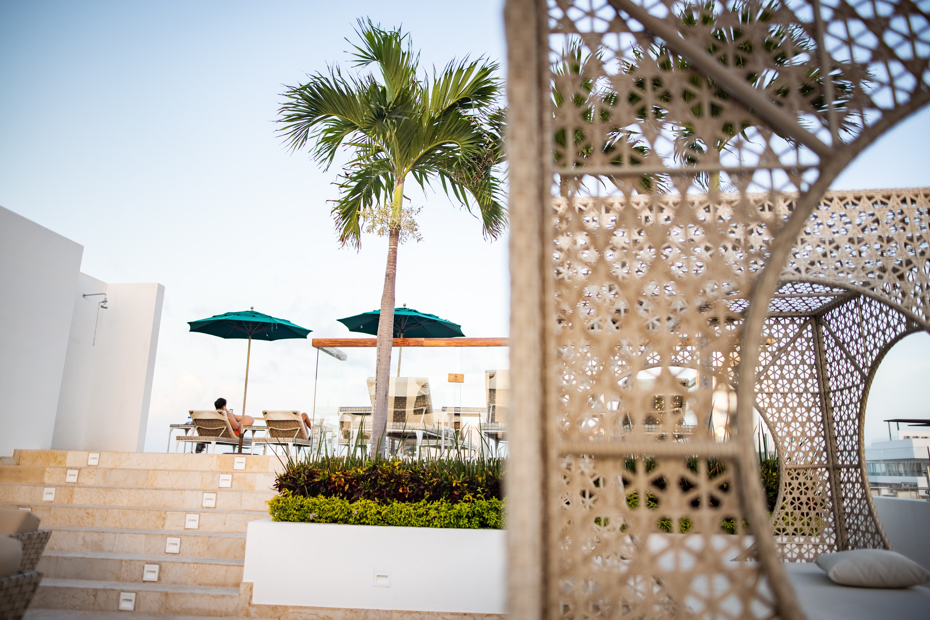 Rooftop Lounge with Palm Trees and Woven Canopy