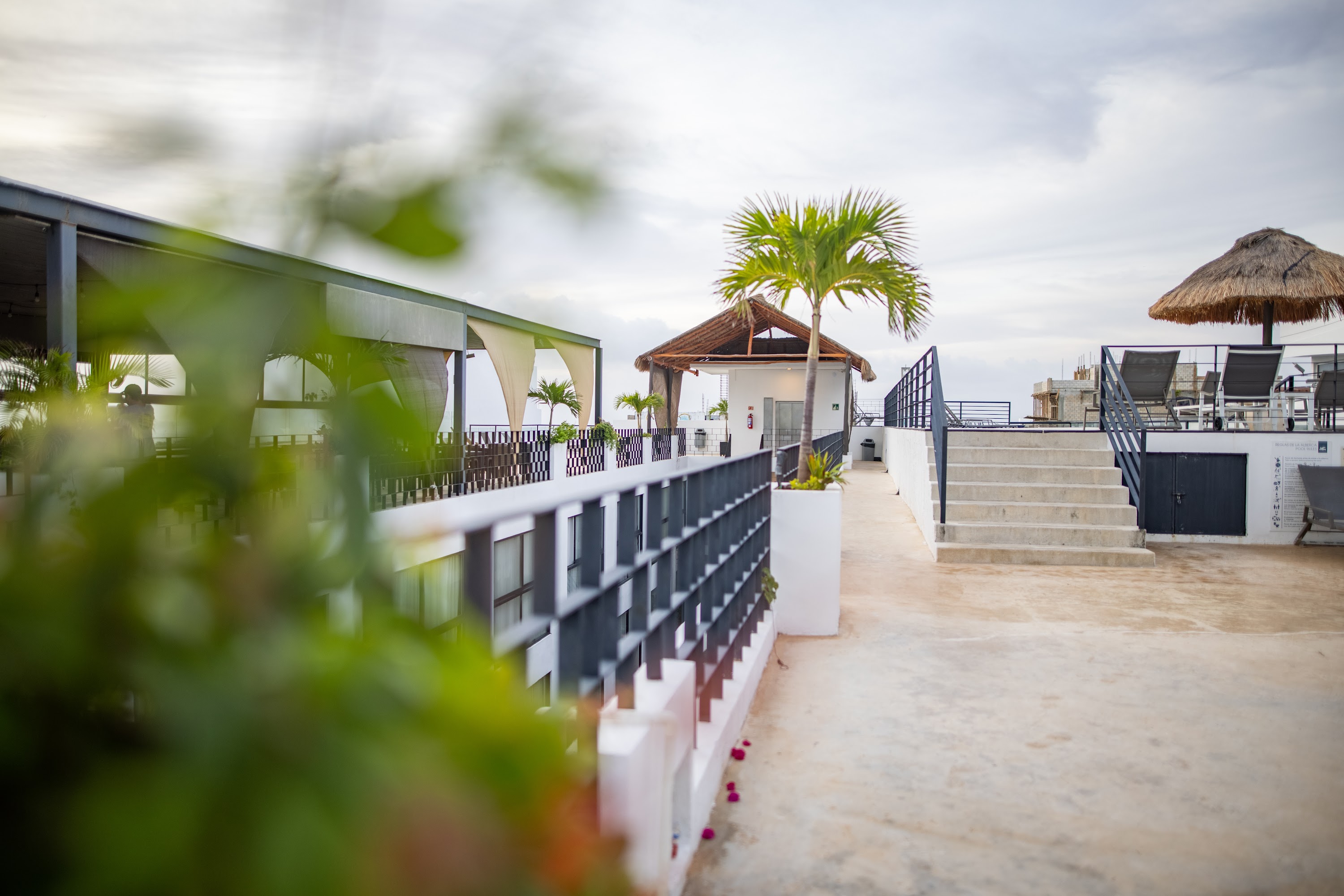 Rooftop Terrace with Palm Tree and Outdoor Seating