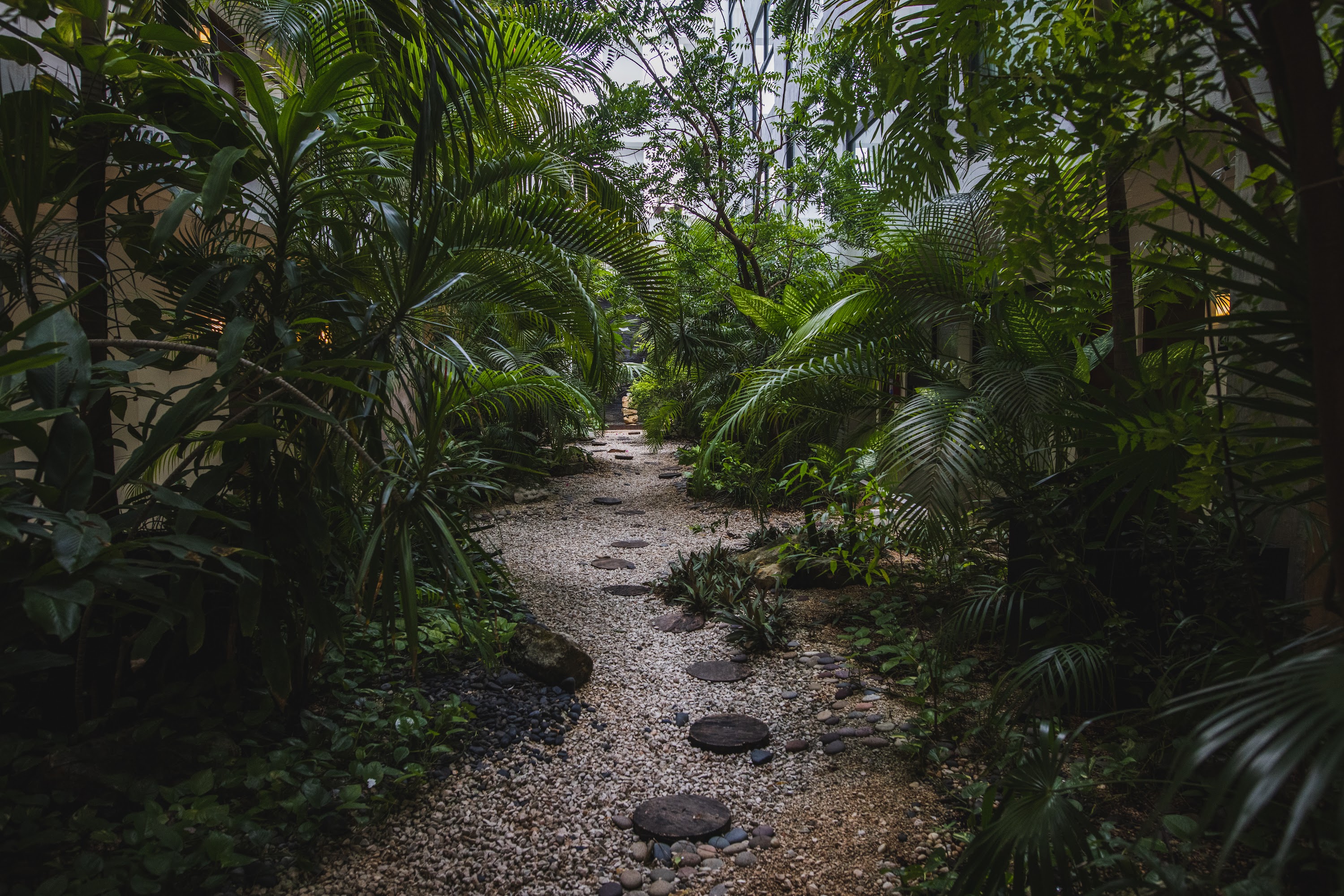Tropical Garden Pathway