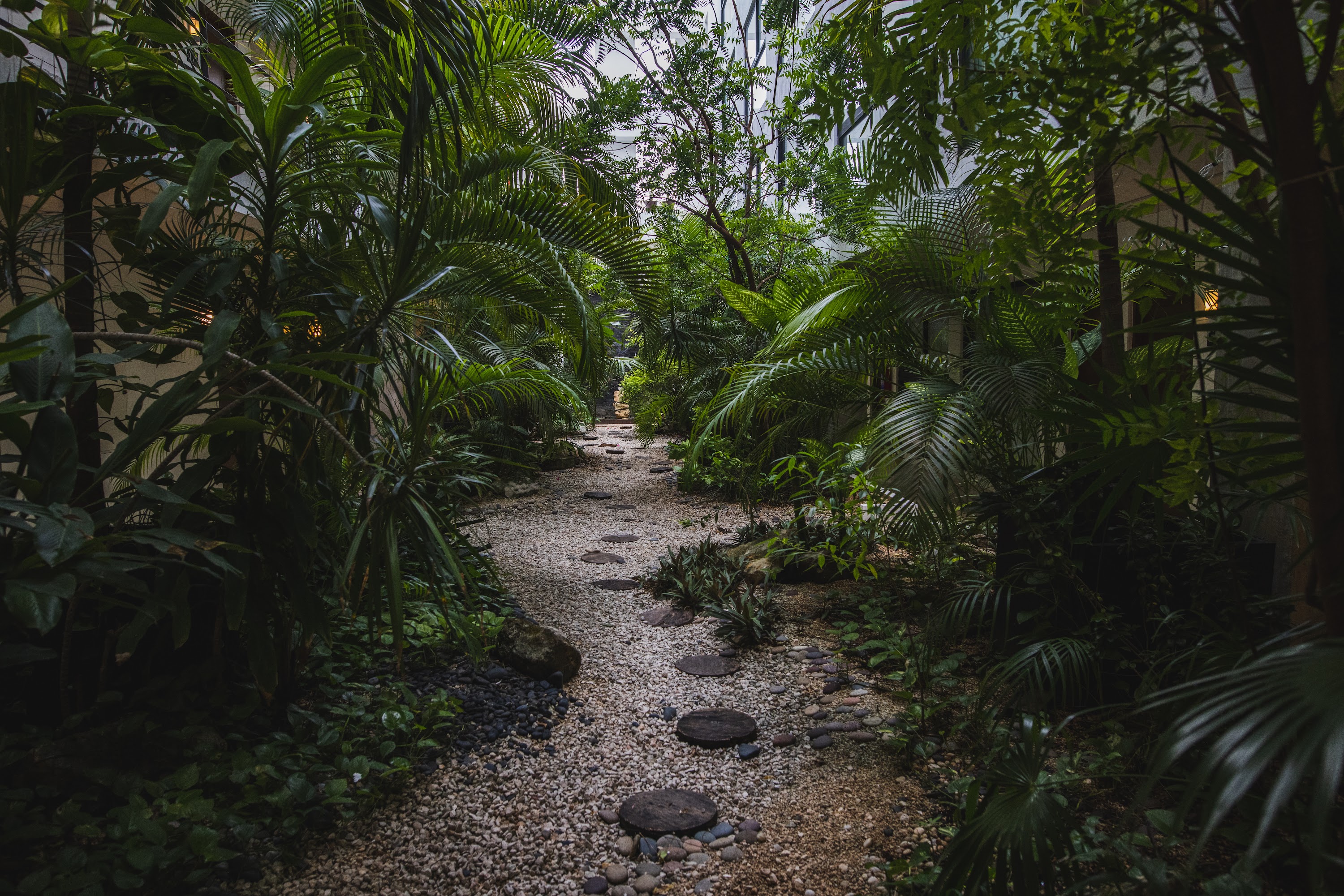 Tropical Garden Pathway