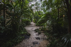 6Y9A7968.jpg