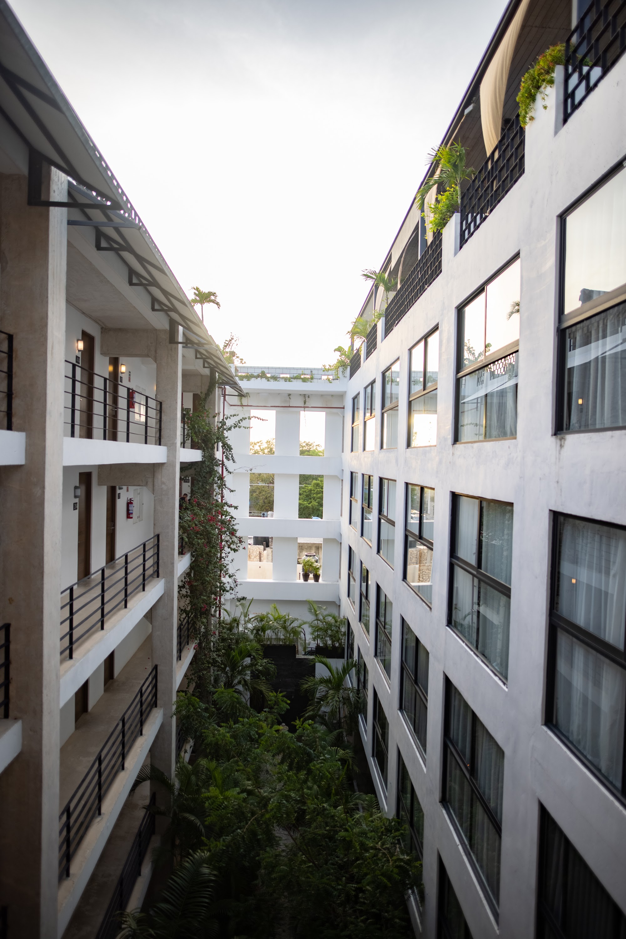 Modern Hotel Courtyard with Greenery and Balconies