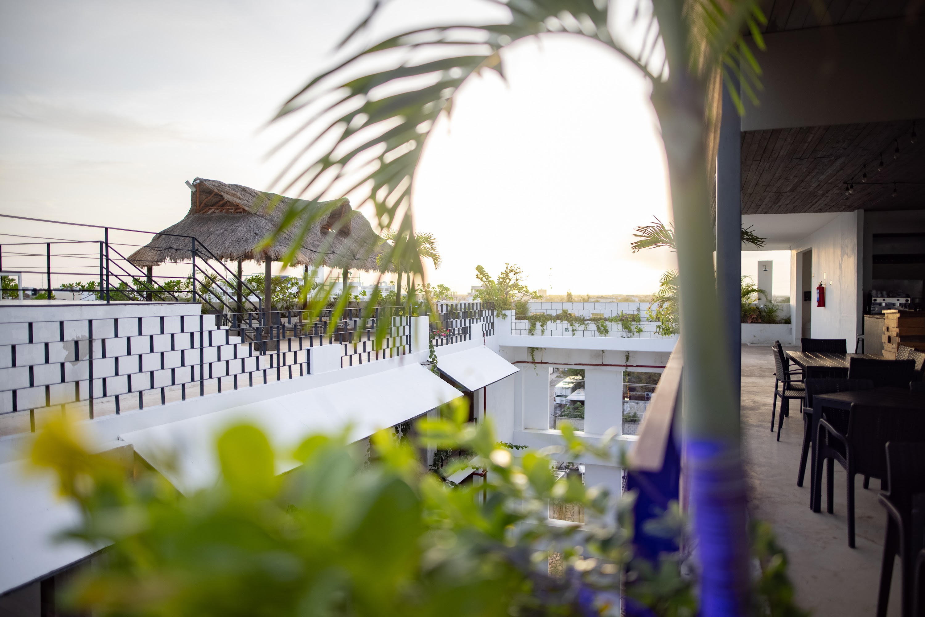 Rooftop Terrace with Palm Trees at Sunset